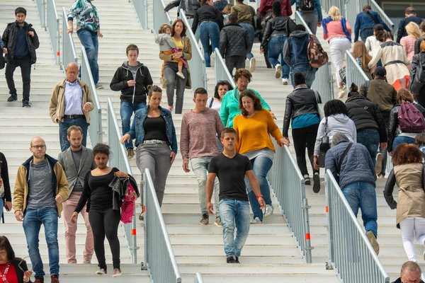 Comment créer un jeu de société coopératif sur les défis de la conservation de la nature?