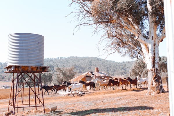 Microstation assainissement : performance et économies à découvrir